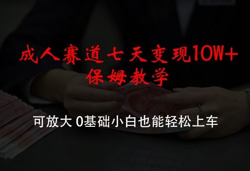 成人赛道七天变现10W+保姆教学，可放大，0基础小白也能轻松上车【揭秘】插图