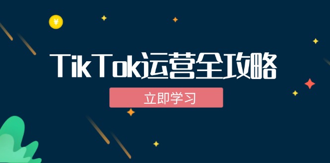 （12739期）TikTok实战运营全攻略：从下载软件到变现，抖音海外版实操教程插图