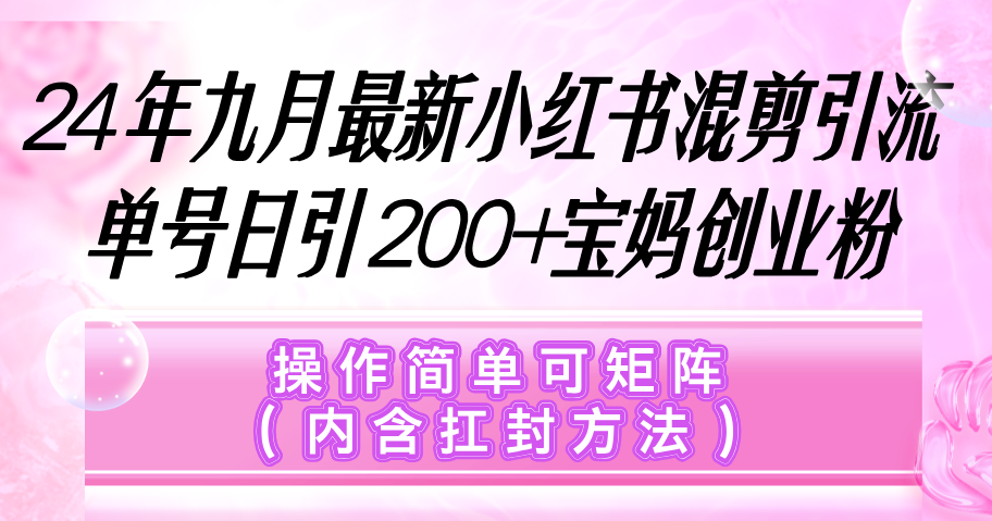 （12530期）小红书混剪引流，单号日引200+宝妈创业粉，操作简单可矩阵（内含扛封…插图