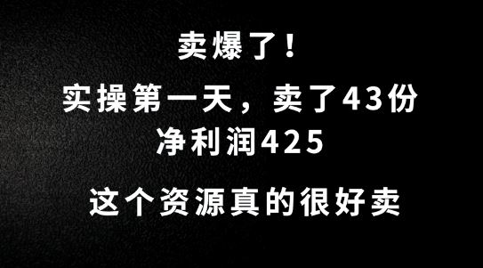 这个资源，需求很大，实操NO.1天卖了43份，净利润425【揭秘】插图