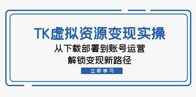 TK虚拟资源变现实操：从下载部署到账号运营，解锁变现新路径插图