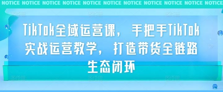 TikTok全域运营课，手把手TikTok实战运营教学，打造带货全链路生态闭环插图