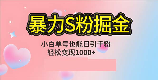 （12778期）单人单机日引千粉，变现1000+，S粉流量掘金计划攻略插图