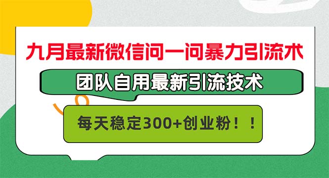 （12735期）九月zui新微信问一问暴力引流术，团队自用引流术，每天稳定300+创…插图