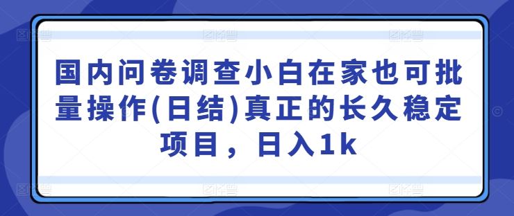 国内问卷调查小白在家也可批量操作(日结)真正的长久稳定项目，日入1k【揭秘】插图