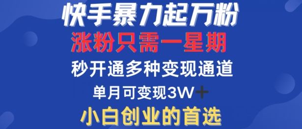 快手暴力起万粉，涨粉只需一星期，多种变现模式，直接秒开万合，单月变现过W【揭秘】插图