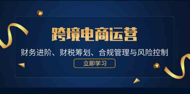 跨境电商运营：财务进阶、财税筹划、合规管理与风险控制插图