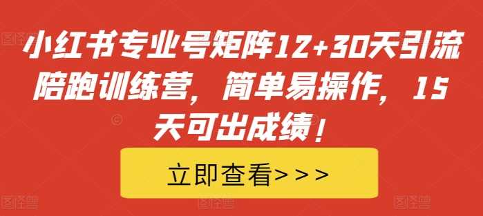 小红书专业号矩阵12+30天引流陪跑训练营，简单易操作，15天可出成绩!插图