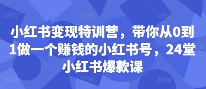 小红书变现特训营，带你从0到1做一个赚钱的小红书号，24堂小红书爆款课插图