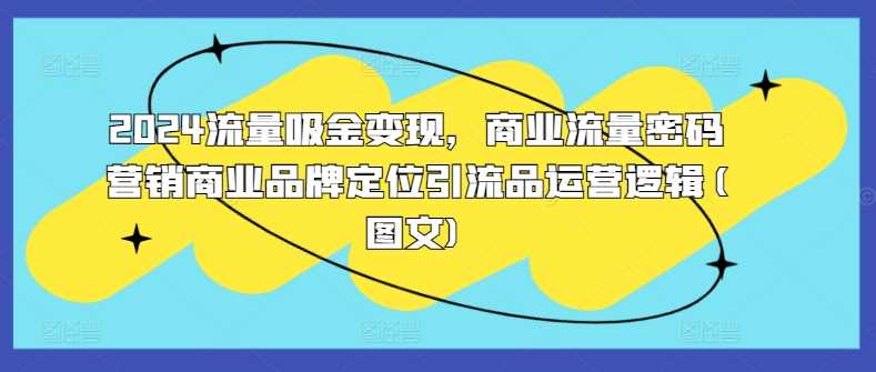 2024流量吸金变现，商业流量密码营销商业品牌定位引流品运营逻辑(图文)插图