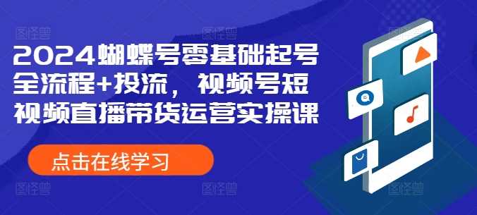 2024蝴蝶号零基础起号全流程+投流，视频号短视频直播带货运营实操课插图