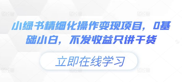 小绿书精细化操作变现项目，0基础小白，不发收益只讲干货插图