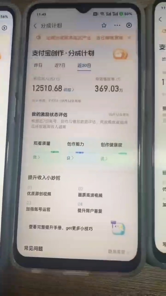 （12970期）2024年底zui稳项目，小白无门槛，坚持做三个月，回家过肥年！！！插图2