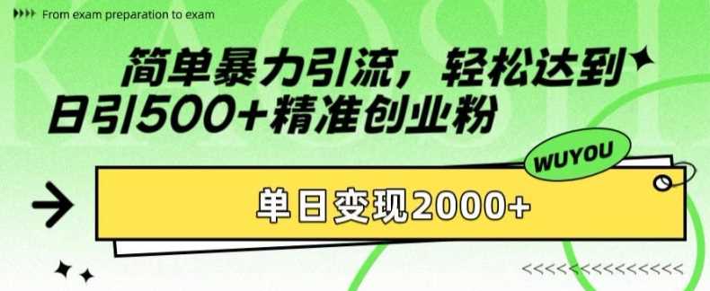 简单暴力引流，轻松达到日引500+精准创业粉，单日变现2k【揭秘】插图