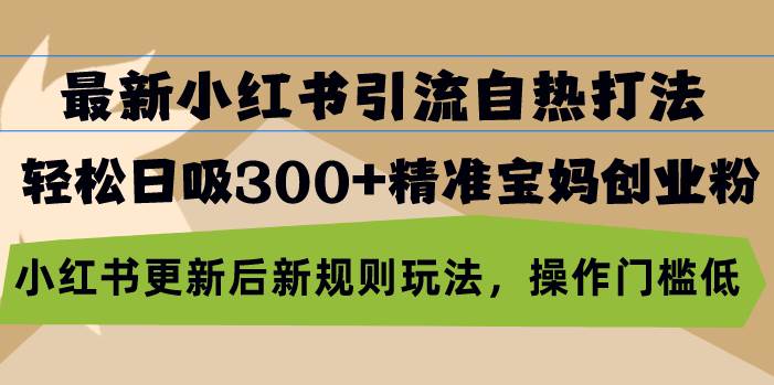 （13145期）zui新小红书引流自热打法，轻松日吸300+精准宝妈创业粉，小红书更新后新…插图