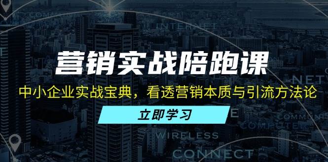 （13146期）营销实战陪跑课：中小企业实战宝典，看透营销本质与引流方法论插图