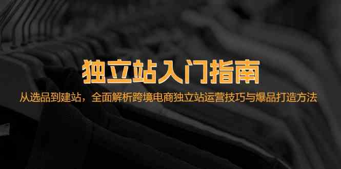 独立站入门指南：从选品到建站，全面解析跨境电商独立站运营技巧与爆品打造方法插图