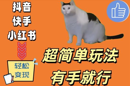 超简单玩法，有手就行，靠猫咪视频日入500+【揭秘】插图