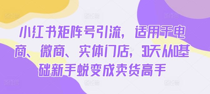 小红书矩阵号引流，适用于电商、微商、实体门店，30天从0基础新手蜕变成卖货高手插图