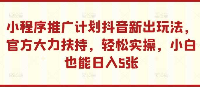 小程序推广计划抖音新出玩法，官方大力扶持，轻松实操，小白也能日入5张【揭秘】插图