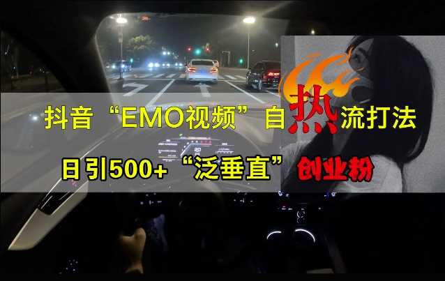 抖音EMO视频自热打法，日引500+“泛垂直”创业粉插图