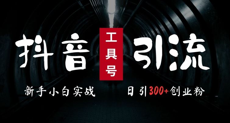 2024zui新抖音工具号引流玩法，高效日引300+创业粉，当天变现5k，小白也可成为实战高手插图