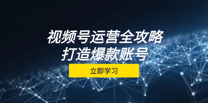 （12912期）视频号运营全攻略，从定位到成交一站式学习，视频号核心秘诀，打造爆款…插图