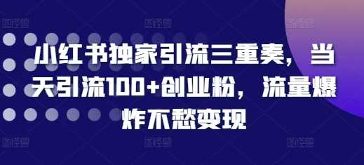 小红书独家引流三重奏，当天引流100+创业粉，流量爆炸不愁变现【揭秘】插图