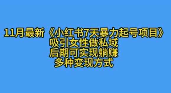 K总部落11月zui新小红书7天暴力起号项目，吸引女性做私域【揭秘】插图