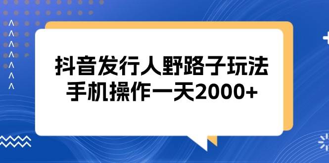 （13220期）抖音发行人野路子玩法，手机操作一天2000+插图