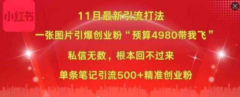 小红书11月zui新图片打粉，一张图片引爆创业粉，“预算4980带我飞”，单条引流500+精准创业粉插图