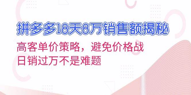 （13383期）拼多多18天8万销售额揭秘：高客单价策略，避免价格战，日销过万不是难题插图