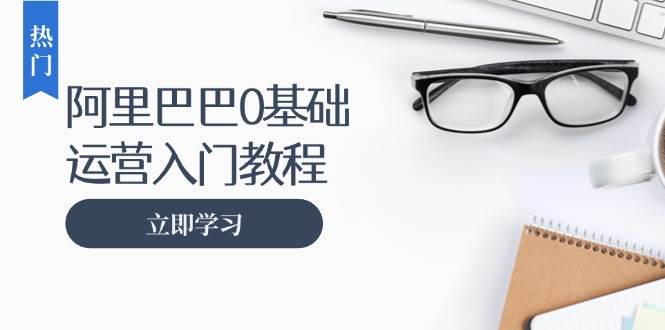 （13291期）阿里巴巴运营零基础入门教程：涵盖开店、运营、推广，快速成为电商高手插图