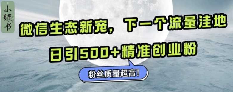 微信生态新宠小绿书：下一个流量洼地，日引500+精准创业粉，粉丝质量超高插图