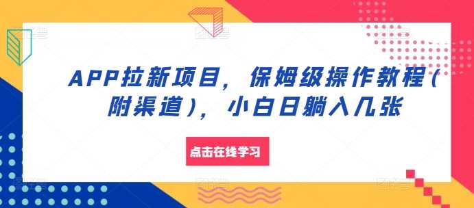 APP拉新项目，保姆级操作教程(附渠道)，小白日躺入几张【揭秘】插图