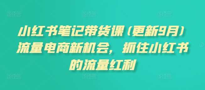 小红书笔记带货课(更新11月)流量电商新机会，抓住小红书的流量红利插图