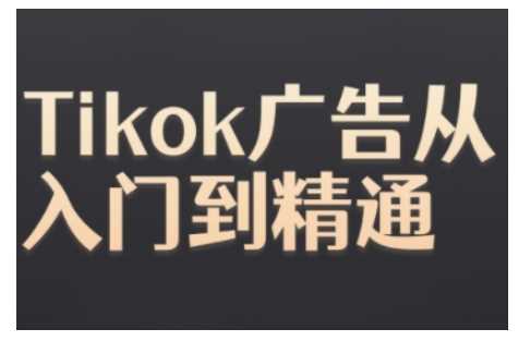 Tiktok Ads实操教程，Tiktok广告从入门到精通插图