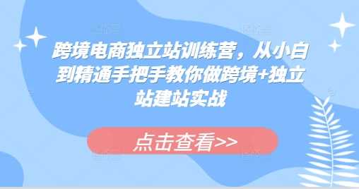 跨境电商独立站训练营，从小白到精通手把手教你做跨境+独立站建站实战插图