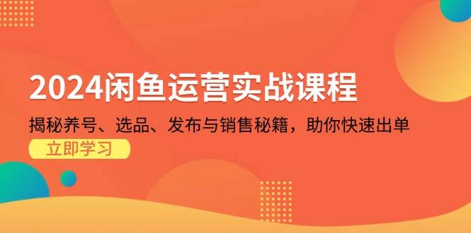 （13290期）2024闲鱼运营实战课程：揭秘养号、选品、发布与销售秘籍，助你快速出单插图