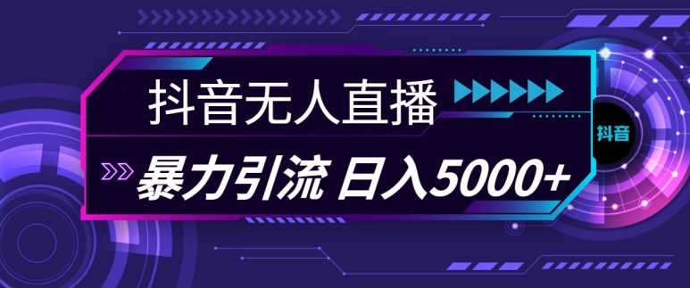 抖音快手视频号全平台通用无人直播引流法，利用图片模板和语音话术，暴力日引流100+创业粉【揭秘】插图