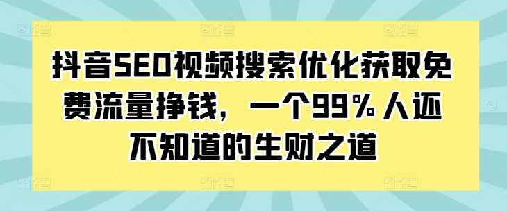 抖音SEO视频搜索优化获取免费流量挣钱，一个99%人还不知道的生财之道插图