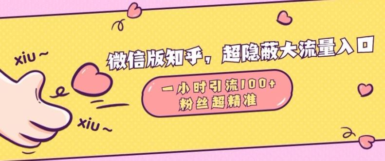 微信版知乎，超隐蔽流量入口1小时引流100人，粉丝质量超高【揭秘】插图