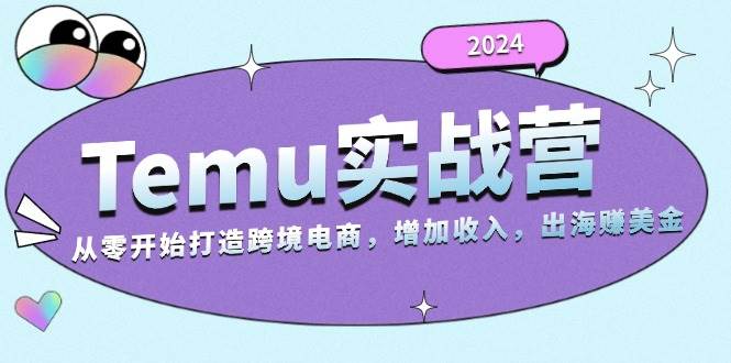 （13266期）2024Temu实战营：从零开始打造跨境电商，增加收入，出海赚美金插图