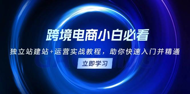 （13502期）跨境电商小白必看！独立站建站+运营实战教程，助你快速入门并精通插图