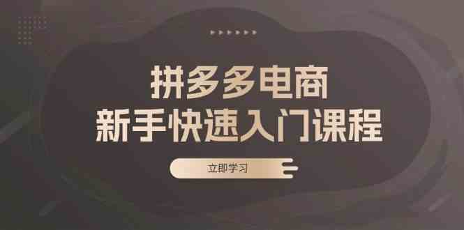 拼多多电商新手快速入门课程：涵盖基础、实战与选款，助力小白轻松上手插图