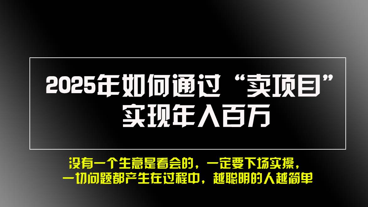 （13468期）2025年如何通过“卖项目”实现年入百万，做网赚必看！！插图