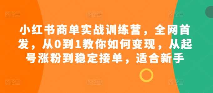 小红书商单实战训练营，全网首发，从0到1教你如何变现，从起号涨粉到稳定接单，适合新手插图