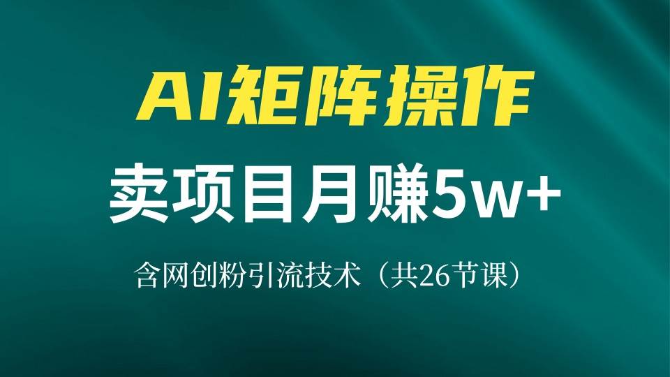 （13335期）网创IP打造课，借助AI卖项目月赚5万+，含引流技术（共26节课）插图