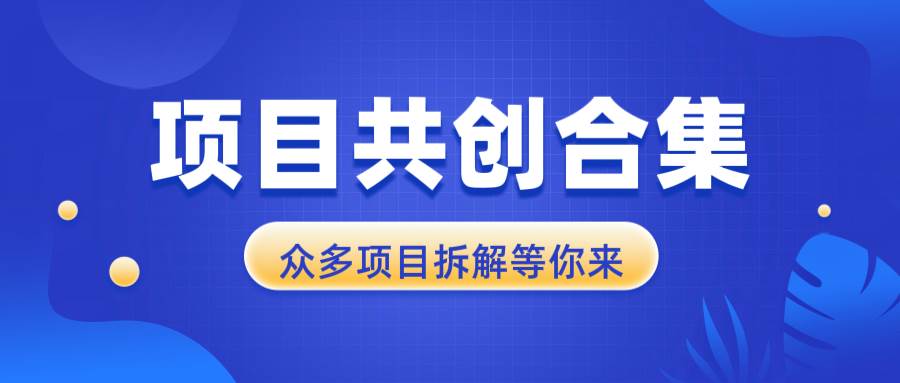 （13778期）项目共创合集，从0-1全过程拆解，让你迅速找到适合自已的项目插图