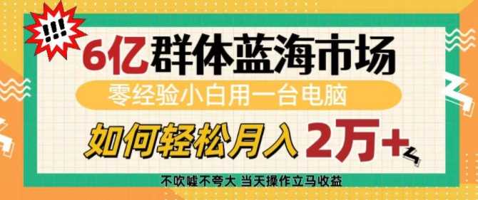 6亿群体蓝海市场，零经验小白用一台电脑，如何轻松月入过w【揭秘】插图